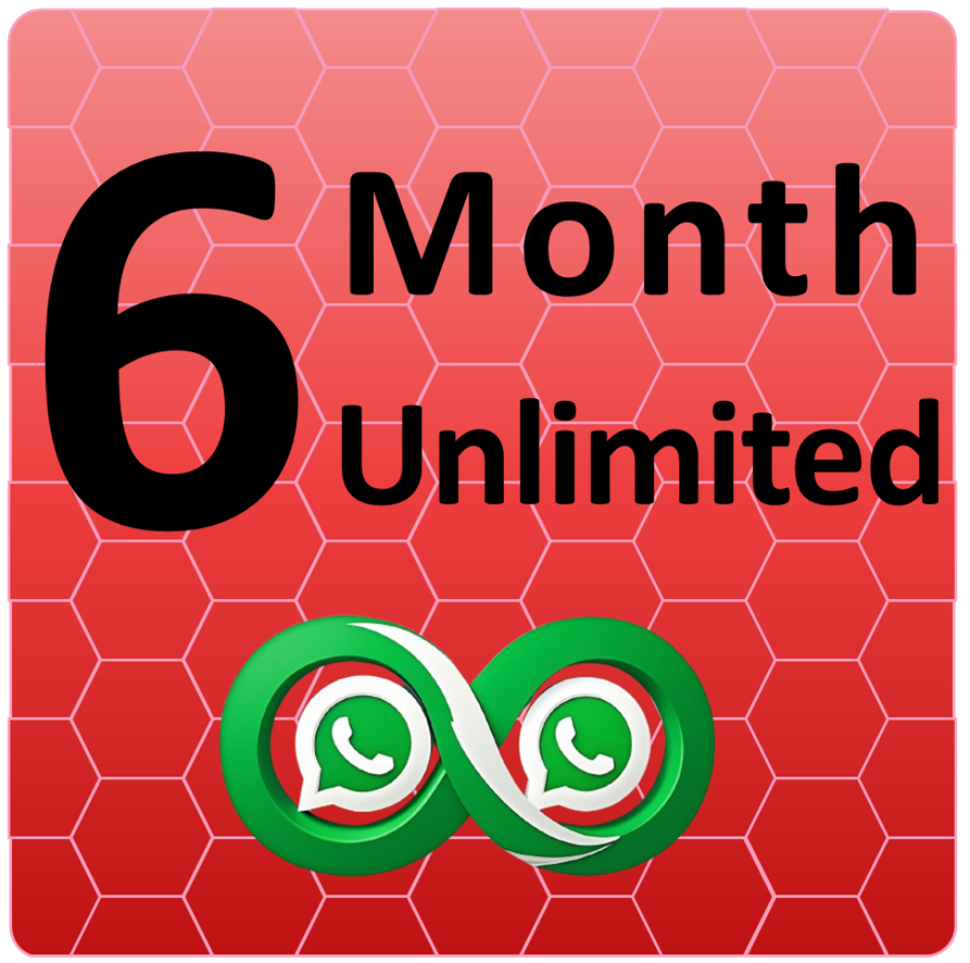 WAMS 6 Month